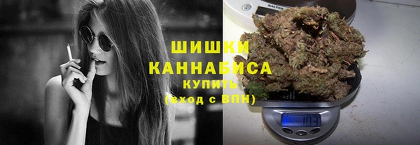 гидра Гусь-Хрустальный