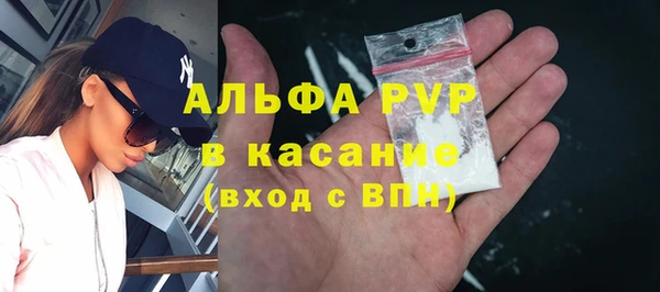 молекула духа Гусев