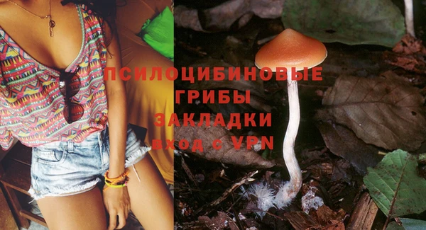 2c-b Гусиноозёрск