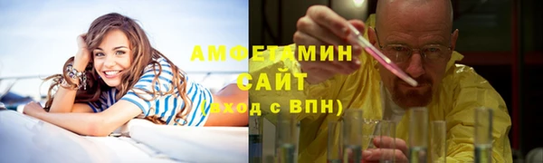 гидра Гусь-Хрустальный