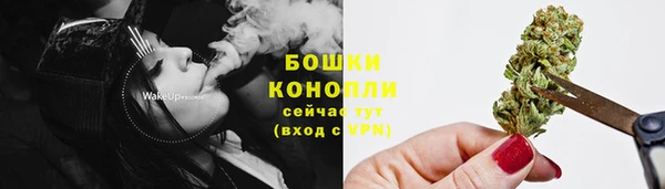 гидра Гусь-Хрустальный