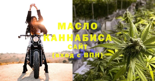 гидра Гусь-Хрустальный