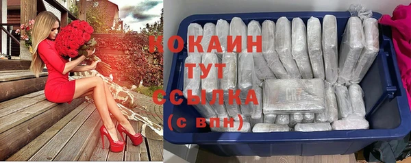 гидра Гусь-Хрустальный