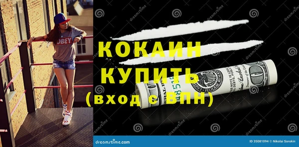 гидра Гусь-Хрустальный