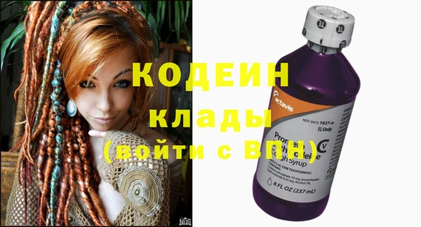 молекула духа Гусев