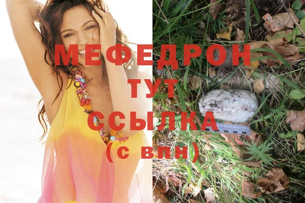 молекула духа Гусев