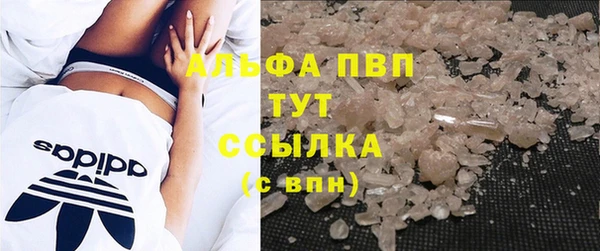 молекула духа Гусев