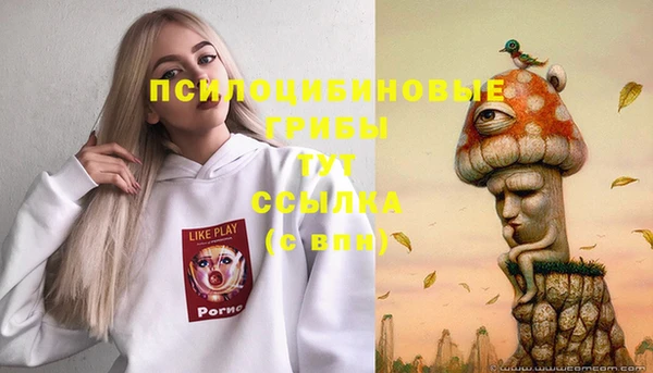 молекула духа Гусев