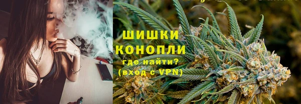 гидра Гусь-Хрустальный