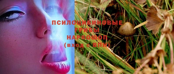2c-b Гусиноозёрск