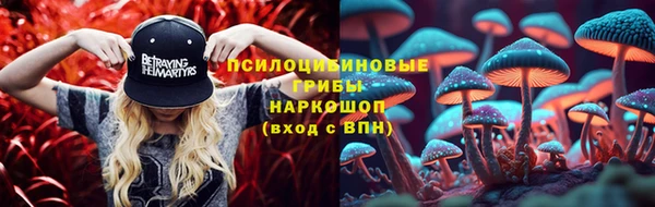 молекула духа Гусев