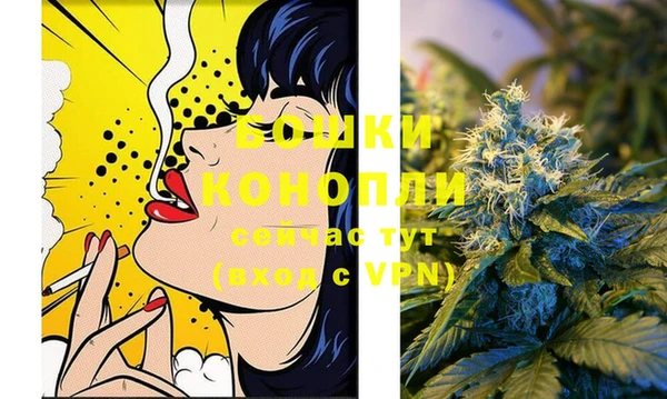 2c-b Гусиноозёрск